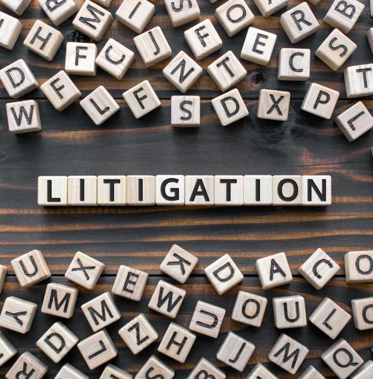 Litigation